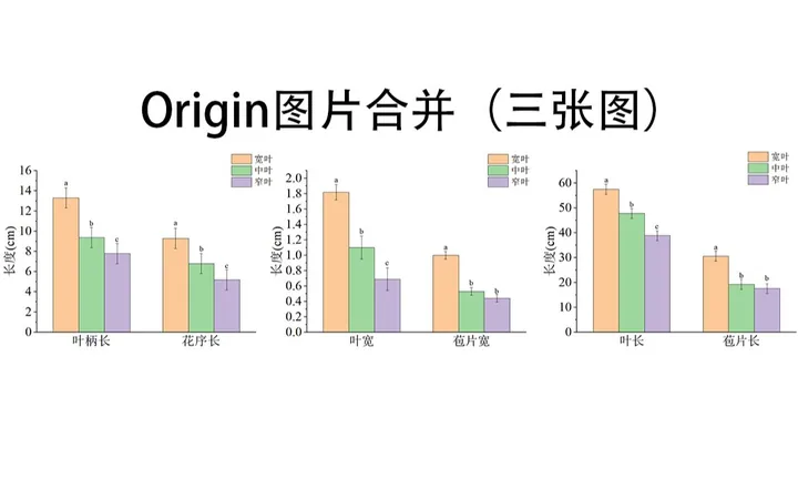 Origin 三张图片合并